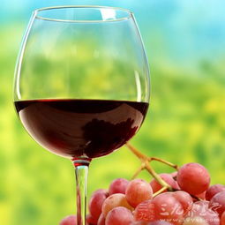 葡萄酒的营养价值 葡萄酒有哪些营养价值