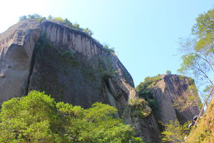 从武夷山到厦门路线、油耗、距离、路桥费,武夷山至厦门自驾游攻略-第4张图片