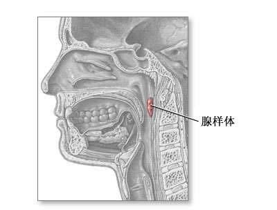 孩子腺样体肥大的原因和调理方法