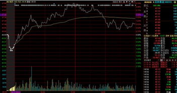 鑫富药业股市会被套牢�?ch=rainbow.wty.ask1