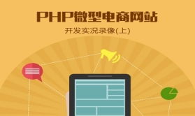 php电商平台开发,PHP和Java开发电商平台各有什么优点