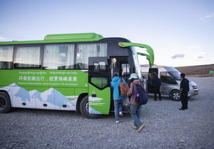 自贡停车场免费,大客车自贡可以停在哪些地方停车