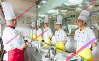 阜阳学厨师需要多少钱,厨师学校一般学费多少钱？