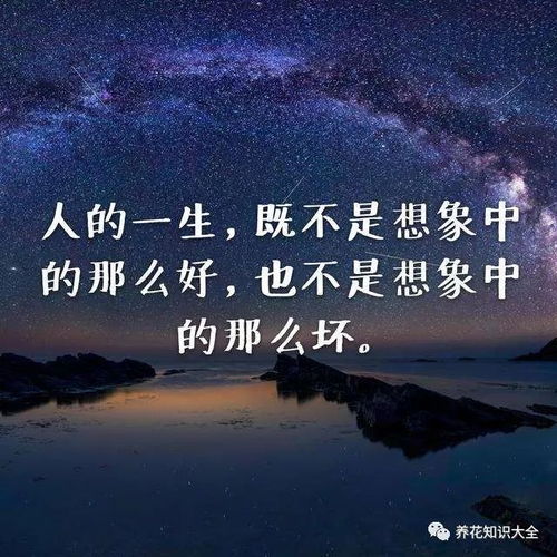 人生格言励志座右铭,励志人生经典语录正能量？