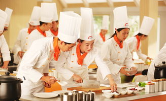 广东厨师培训学校有哪些,广东厨师培训学校大揭秘：培养顶级厨师的摇篮