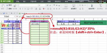 在WPS表格2013中对变价商品计算利润 