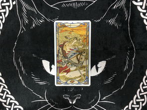 猫巫塔罗 2019摩羯座12月份爱情运势占卜,释放过去,面对现在