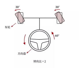 有哪些很有意思的冷知识