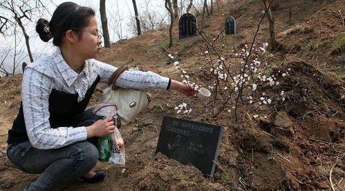 老话说 5人不去上坟,后代兴旺发达 ,5人指的谁 有讲究吗