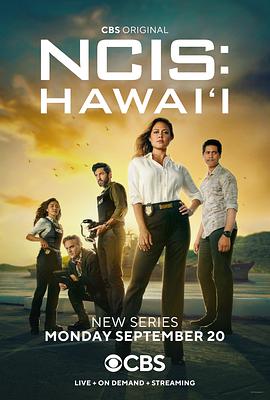 独家解析海军罪案调查处:夏威夷 第二季,剧情揭秘与人物深度分析