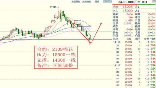  okt币价格行情走势预测,okt是什么币 百科