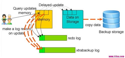 mysql位置适合选择什么类型(mysql查看本地数据库位置)