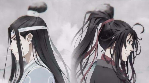 魔道祖师 岁月带走了魏无羡闪闪发光的大眼睛,江澄其实一直没变 