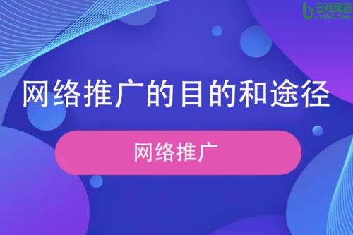 seo网站推广的目的主要包括