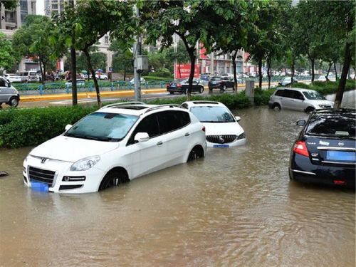 为什么有经验的车主看到自己的车被水泡了,不会选择开走