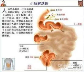 做完肠梗阻手术10年后又粘连了该怎么办