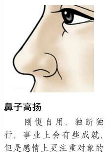 从鼻子形态看一个人的性格和运势走向