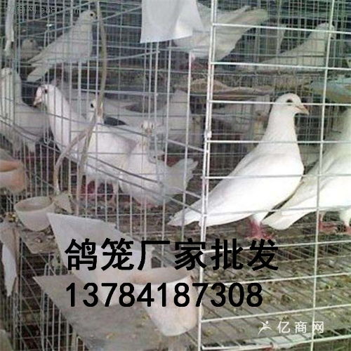 铁丝鸽子笼价格尺寸三层鸽子养殖笼生产厂家价格 