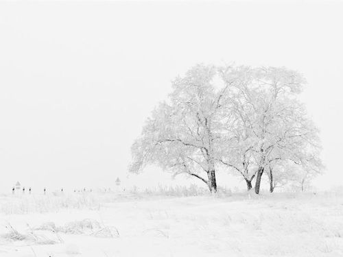 积累关于咏雪的诗句