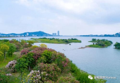揭秘潮州凤凰洲公园：一座城市的绿肺，一段历史的记忆