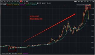 2021年7月暴跌后的优质白马股