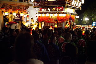 日本的文化祭是什么意思(文化祭的日语)