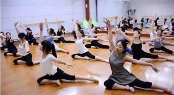 舞蹈艺考培训兰州,兰州舞蹈艺考培训，绽放你的艺术之花！