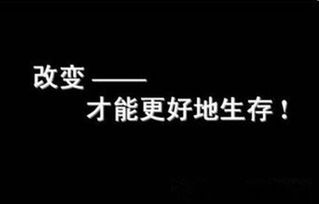 金生利 一单回到解放前 泥足深陷劝君莫贪心