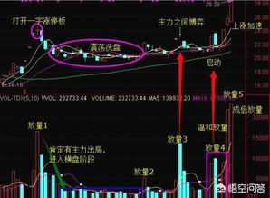 庄家为何把散户都清理出去呢