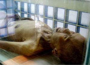 泰国干尸博物馆那个女尸是谁,泰国干尸博物馆那个女尸是谁？