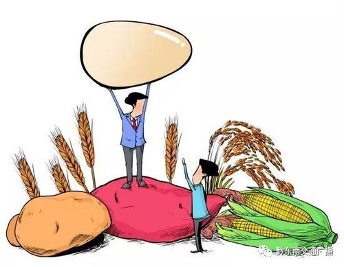 时隔七年,黔东南又将举办2018年春节农特产品暨年货展 