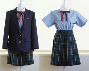 杭州一小学学费一年12万校服费1万,不定制校服无法入学