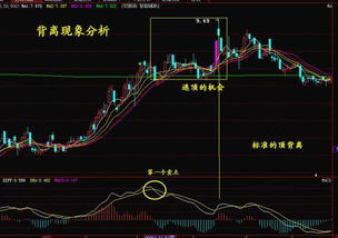 技术学堂1 20 MACD指标王