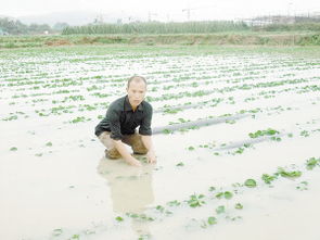 昨日暴雨为今年最大 厦门多处降雨量超过100毫米 