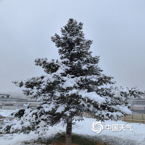 北方多地四月飞雪 一组图看各地白雪覆盖穿越回隆冬