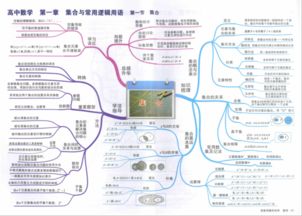 高中的数学思维导图怎么做 