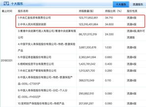 中央汇金公司与普通金融机构的区别