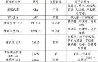 泉州TM15肿瘤标志物检测价格 