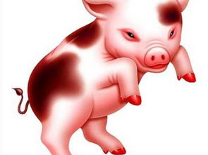 1971年的猪每月运程(1971年属猪每月运势)
