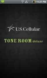 room tone my innermost apocalypse,Understanding the Concept