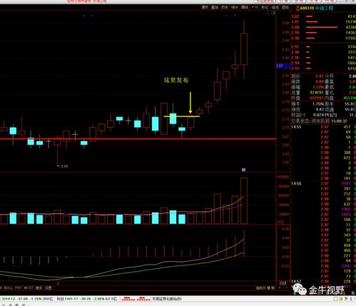 大盘中N打头的是什么股 涨幅都超过10％哦 怎么买