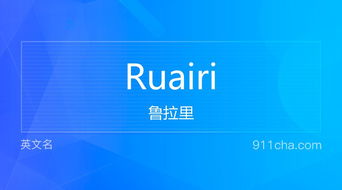 英文名Ruairi 的意思 性别含义寓意及印象是什么 英文名 911查询 