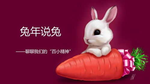 开学首日,深圳这位校长给学生送了 6只兔子