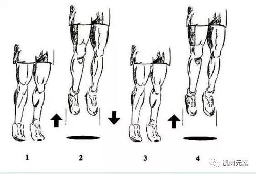 科学的练习弹跳的方法-图3