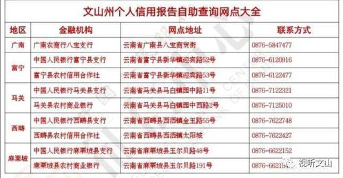 太方便啦 文山有29个网点可查个人征信