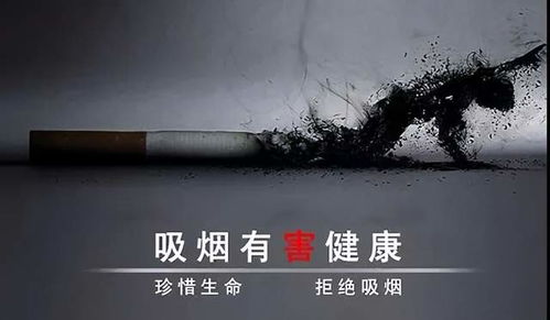 世界无烟日 一份3亿烟民的戒烟清单请收好