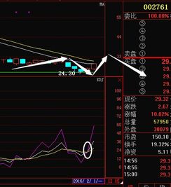 600668反弹到什么位置，卖出?