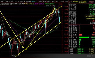 　　大盘要跌停了，我们该怎么办？