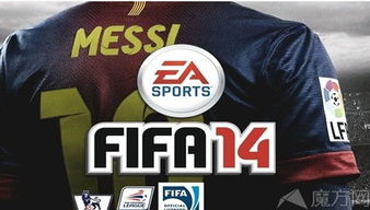 FIFA 14 IOS闪退的原因和解决方法攻略