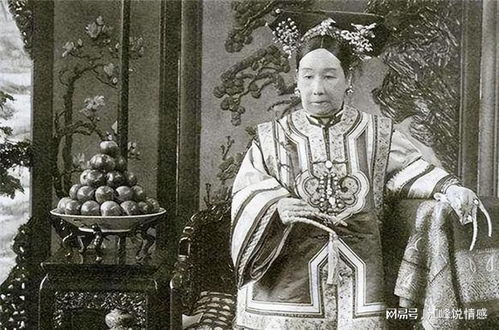 光绪帝的下一位皇帝,清朝皇帝顺序表